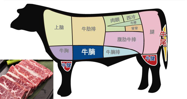 肉制品加工设计咨询